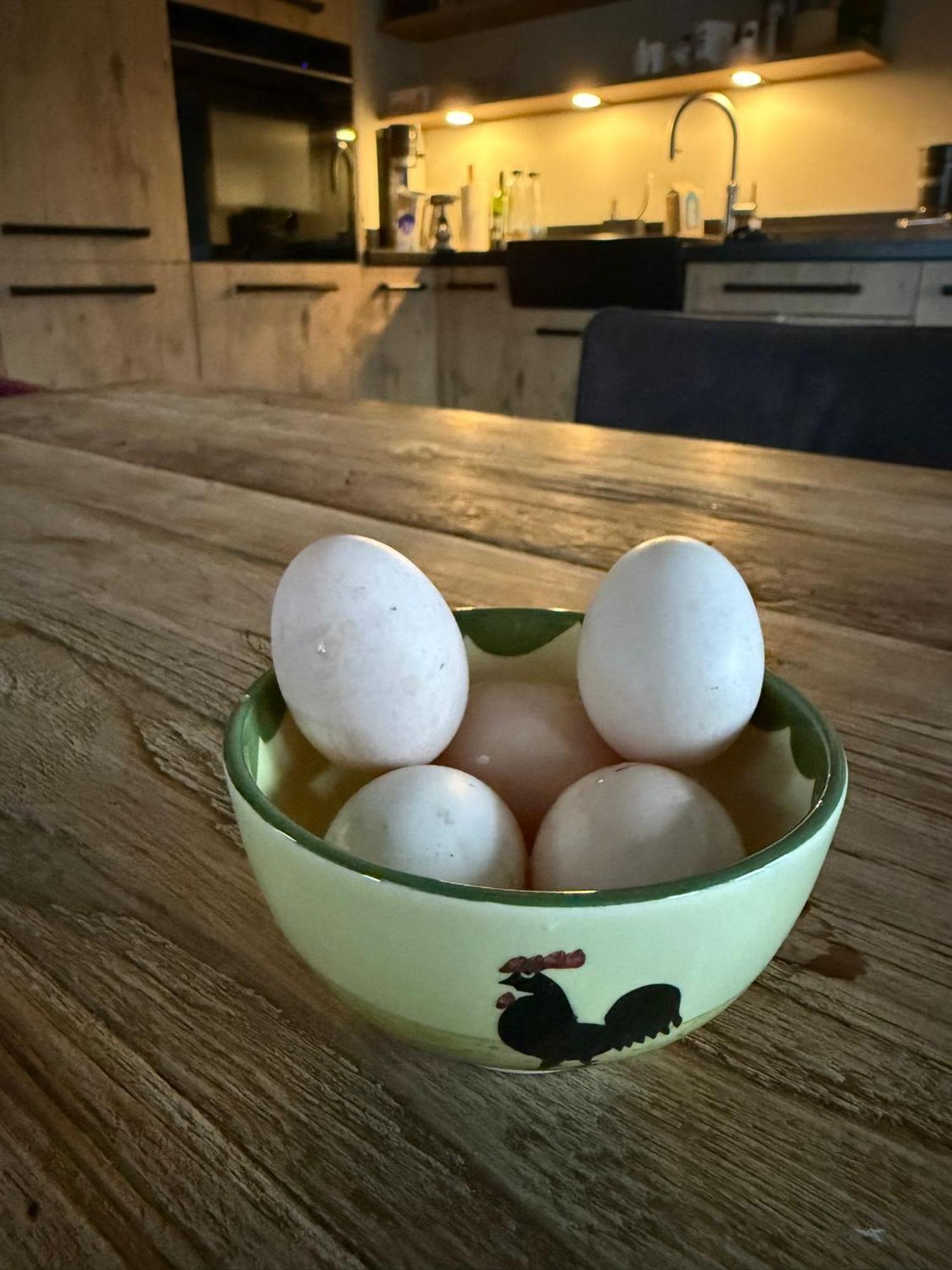 Klaartje Kip Voor 4 Personen, Landelijk Gelegen! Vakantiehuis